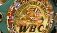 hasegawa_vs_gonzalez_fight_news_wbc_allthebestfights