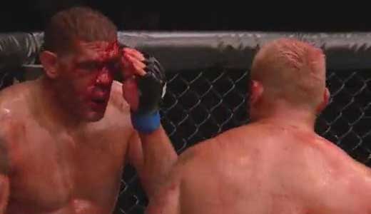 hunt-vs-silva-full-fight-video-ufc-ufn-33