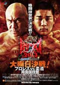 rogers-vs-de-fries-fight-video-igf-inoki-2013-poster