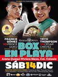 thompson-vs-chavez-fight-video-pelea-2013-poster