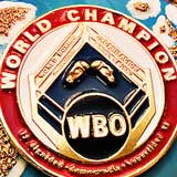 wbo-belt-narvaez-vs-carmona-fight-video-2013