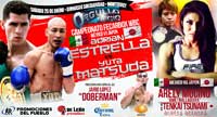 estrella-vs-matsuda-poster-2014-01-25