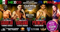 rojas-vs-nebran-fight-video-pelea-2014-poster