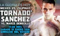 sanchez-vs-demecillo-2014-01-18-poster