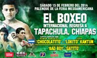 gonzalez-vs-kantun-poster-2014-02-15