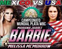 juarez-vs-mcmorrow-poster-2014-02-22