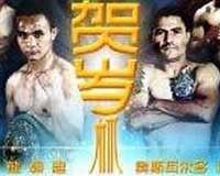 zhong-vs-novoa-poster-2014-02-05