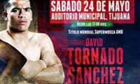 sanchez-vs-teran-poster-2014-05-24