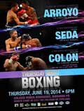 arroyo-vs-saludar-poster-2014-06-19