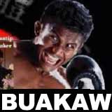 buakaw-vs-freitas-muay-thai-macau-poster