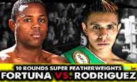 fortuna-vs-rodriguez-poster-2014-05-31