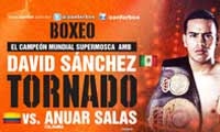 sanchez-vs-salas-poster-2014-08-30