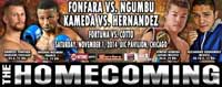 fonfara-vs-ngumbu-poster-2014-11-01