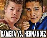 kameda-vs-hernandez-poster-2014-11-01