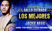 estrada-vs-alvarez-poster-2014-12-06