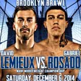 lemieux-vs-rosado-poster-2014-12-06