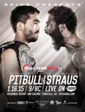 bellator-132-poster