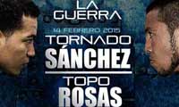 sanchez-vs-rosas-poster-2015-02-14