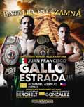 berchelt-vs-gonzalez-poster-2015-03-28