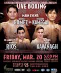 gomez-vs-kamegai-poster-2015-03-20