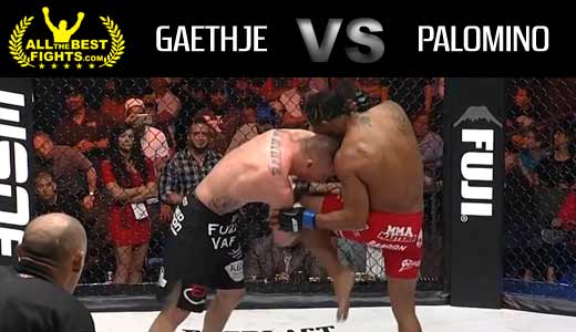 mma-foty-2015-gaethje-vs-palomino-full-fight-video