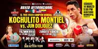 montiel-vs-doliguez-poster-2015-03-14