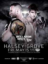 bellator-137-poster