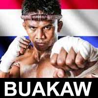 buakaw-vs-yan-bin-quanwei-wmc-2015-poster