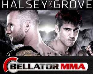 halsey-vs-grove-bellator-137-poster