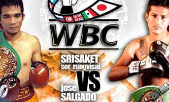 rungvisai-vs-salgado-poster-2015-05-28