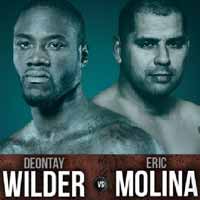 wilder-vs-molina-poster-2015-06-13