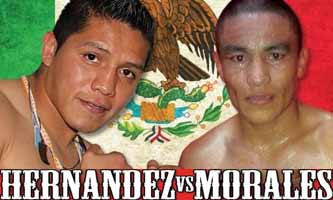 hernandez-vs-morales-poster-2015-08-07