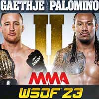 gaethje-vs-palomino-2-wsof-23-poster