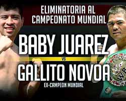 juarez-vs-novoa-3-poster-2016-03-19