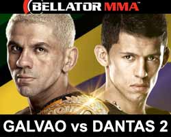 galvao-vs-dantas-2-bellator-156-poster