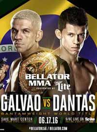 halsey-vs-salter-bellator-156-poster