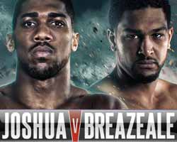 joshua-vs-breazeale-poster-2016-06-25