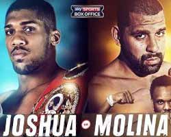 joshua-vs-molina-fight-video-poster-2016-12-10