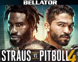 straus-vs-freire-4-full-fight-video-bellator-178-poster