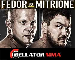 fedor-vs-mitrione-full-fight-video-bellator-180-poster