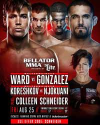 koreshkov-vs-njokuani-full-fight-video-bellator-182-poster