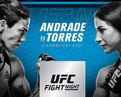 andrade-torres-fight-ufc-on-fox-28-poster