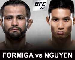 formiga-nguyen-fight-ufc-221-poster