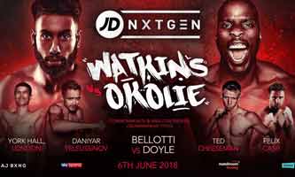 watkins-okolie-fight-poster-2018-06-06