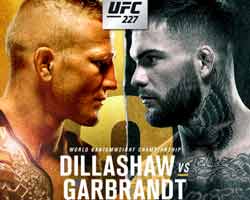 dillashaw-garbrandt-2-fight-ufc-227-poster