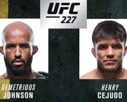 johnson-cejudo-2-fight-ufc-227-poster