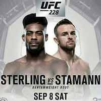 sterling-stamann-fight-ufc-228-poster