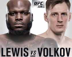 volkov-lewis-fight-ufc-229-poster