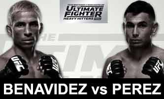 benavidez-perez-fight-ufc-tuf-28-finale-poster