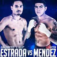 estrada-mendez-fight-poster-2018-12-08